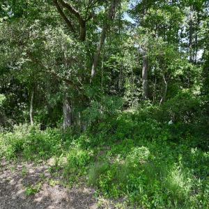 Photo #39 of SOLD property in 1125 Cupela Rd, Walstonburg, NC 38.0 acres