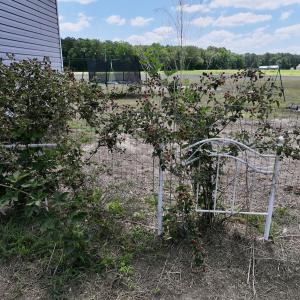Photo #40 of SOLD property in 1125 Cupela Rd, Walstonburg, NC 38.0 acres