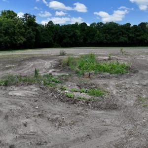 Photo #41 of SOLD property in 1125 Cupela Rd, Walstonburg, NC 38.0 acres