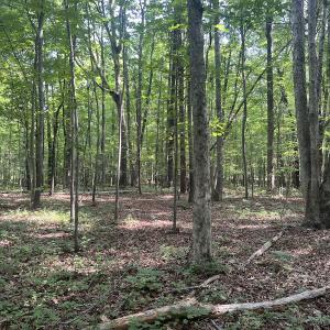 Photo #2 of SOLD property in 0001 Deer Run Trail, Mebane, NC 1.0 acres