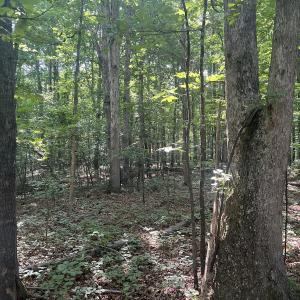 Photo #4 of SOLD property in 0001 Deer Run Trail, Mebane, NC 1.0 acres