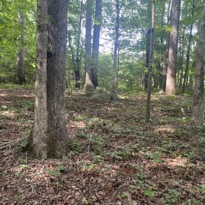Photo #5 of SOLD property in 0001 Deer Run Trail, Mebane, NC 1.0 acres