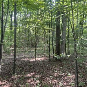 Photo #7 of SOLD property in 0001 Deer Run Trail, Mebane, NC 1.0 acres