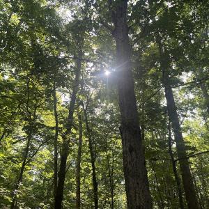 Photo #8 of SOLD property in 0001 Deer Run Trail, Mebane, NC 1.0 acres