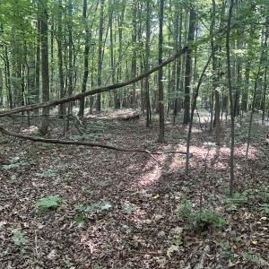 Photo #9 of SOLD property in 0001 Deer Run Trail, Mebane, NC 1.0 acres