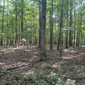 Photo #10 of SOLD property in 0001 Deer Run Trail, Mebane, NC 1.0 acres