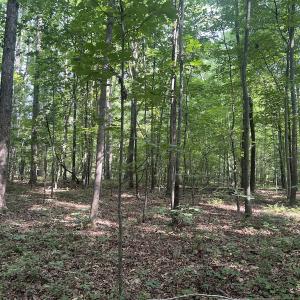 Photo #11 of SOLD property in 0001 Deer Run Trail, Mebane, NC 1.0 acres