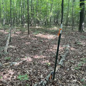 Photo #12 of SOLD property in 0001 Deer Run Trail, Mebane, NC 1.0 acres