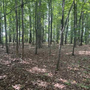 Photo #2 of SOLD property in 0000 Deer Run Trail, Mebane, NC 3.8 acres