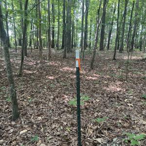 Photo #3 of SOLD property in 0000 Deer Run Trail, Mebane, NC 3.8 acres