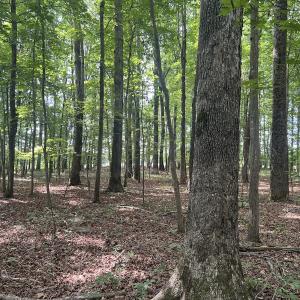 Photo #4 of SOLD property in 0000 Deer Run Trail, Mebane, NC 3.8 acres