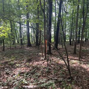 Photo #5 of SOLD property in 0000 Deer Run Trail, Mebane, NC 3.8 acres