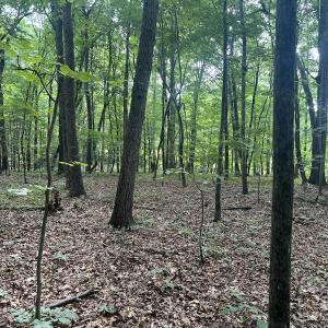Photo #6 of SOLD property in 0000 Deer Run Trail, Mebane, NC 3.8 acres