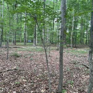 Photo #8 of SOLD property in 0000 Deer Run Trail, Mebane, NC 3.8 acres