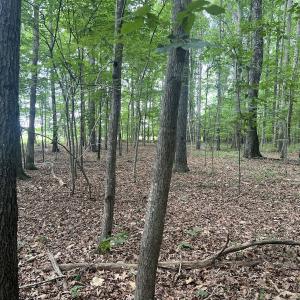 Photo #9 of SOLD property in 0000 Deer Run Trail, Mebane, NC 3.8 acres