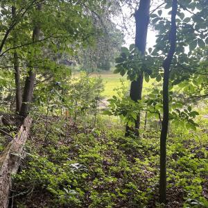 Photo #10 of SOLD property in 0000 Deer Run Trail, Mebane, NC 3.8 acres