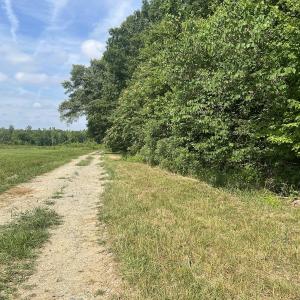Photo #13 of SOLD property in 0000 Deer Run Trail, Mebane, NC 3.8 acres
