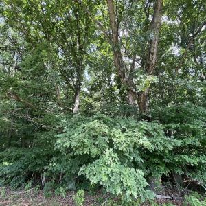 Photo #14 of SOLD property in 0000 Deer Run Trail, Mebane, NC 3.8 acres