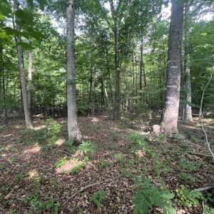 Photo #18 of SOLD property in 0000 Deer Run Trail, Mebane, NC 3.8 acres