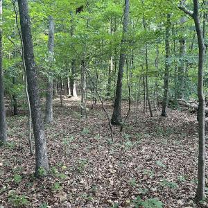 Photo #19 of SOLD property in 0000 Deer Run Trail, Mebane, NC 3.8 acres