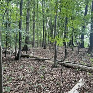 Photo #20 of SOLD property in 0000 Deer Run Trail, Mebane, NC 3.8 acres