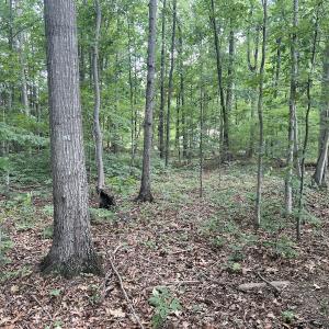 Photo #21 of SOLD property in 0000 Deer Run Trail, Mebane, NC 3.8 acres