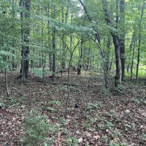 Photo #22 of SOLD property in 0000 Deer Run Trail, Mebane, NC 3.8 acres