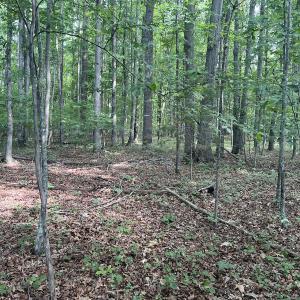 Photo #23 of SOLD property in 0000 Deer Run Trail, Mebane, NC 3.8 acres