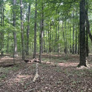 Photo #25 of SOLD property in 0000 Deer Run Trail, Mebane, NC 3.8 acres