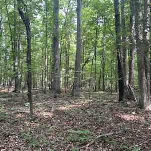 Photo #26 of SOLD property in 0000 Deer Run Trail, Mebane, NC 3.8 acres