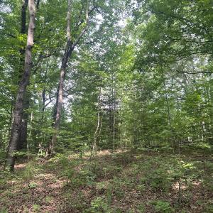 Photo #27 of SOLD property in 0000 Deer Run Trail, Mebane, NC 3.8 acres