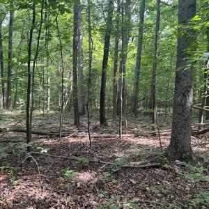 Photo #28 of SOLD property in 0000 Deer Run Trail, Mebane, NC 3.8 acres