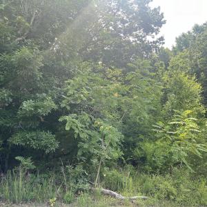 Photo #29 of SOLD property in 0000 Deer Run Trail, Mebane, NC 3.8 acres