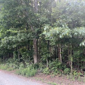 Photo #30 of SOLD property in 0000 Deer Run Trail, Mebane, NC 3.8 acres