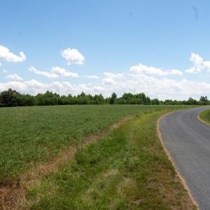 Photo #10 of SOLD property in Off E Elkhorn Rd, Java, VA 34.4 acres
