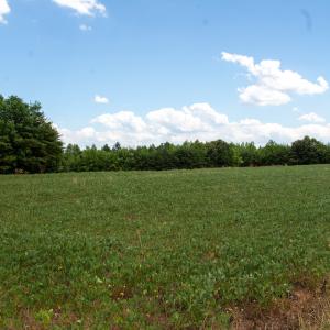 Photo #11 of SOLD property in Off E Elkhorn Rd, Java, VA 34.4 acres