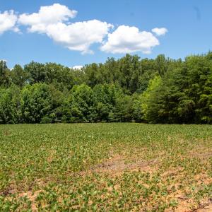 Photo #13 of SOLD property in Off E Elkhorn Rd, Java, VA 34.4 acres