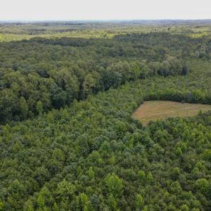 Photo #14 of SOLD property in Off E Elkhorn Rd, Java, VA 34.4 acres