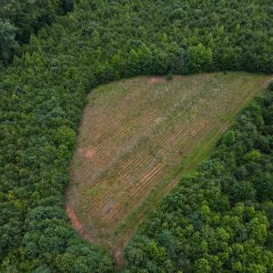 Photo #15 of SOLD property in Off E Elkhorn Rd, Java, VA 34.4 acres
