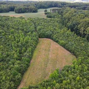 Photo #17 of SOLD property in Off E Elkhorn Rd, Java, VA 34.4 acres