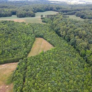 Photo #18 of SOLD property in Off E Elkhorn Rd, Java, VA 34.4 acres
