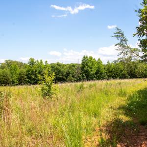 Photo #19 of SOLD property in Off E Elkhorn Rd, Java, VA 34.4 acres
