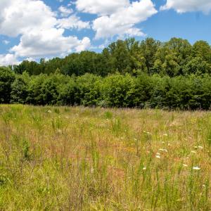 Photo #20 of SOLD property in Off E Elkhorn Rd, Java, VA 34.4 acres
