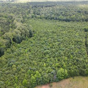 Photo #21 of SOLD property in Off E Elkhorn Rd, Java, VA 34.4 acres