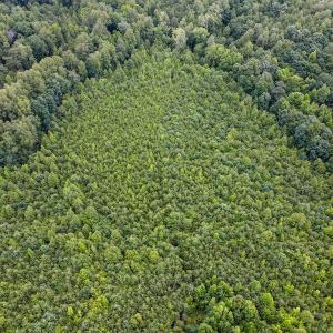 Photo #22 of SOLD property in Off E Elkhorn Rd, Java, VA 34.4 acres