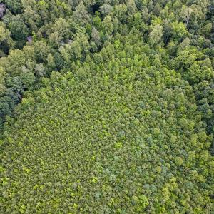 Photo #23 of SOLD property in Off E Elkhorn Rd, Java, VA 34.4 acres