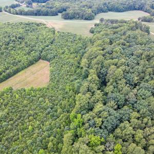 Photo #25 of SOLD property in Off E Elkhorn Rd, Java, VA 34.4 acres