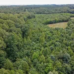Photo #27 of SOLD property in Off E Elkhorn Rd, Java, VA 34.4 acres