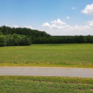 Photo #5 of SOLD property in Off E Elkhorn Rd, Java, VA 34.4 acres
