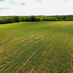 Photo #7 of SOLD property in Off E Elkhorn Rd, Java, VA 34.4 acres